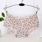 Summer Soft Seamless Briefs Underwear Women Sexy Underpants Lingerie Briefs Hipster Underwear Ultra-thin Comfort Panties