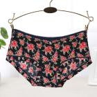 Summer Soft Seamless Briefs Underwear Women Sexy Underpants Lingerie Briefs Hipster Underwear Ultra-thin Comfort Panties