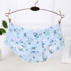 Summer Soft Seamless Briefs Underwear Women Sexy Underpants Lingerie Briefs Hipster Underwear Ultra-thin Comfort Panties