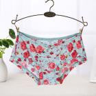 Summer Soft Seamless Briefs Underwear Women Sexy Underpants Lingerie Briefs Hipster Underwear Ultra-thin Comfort Panties