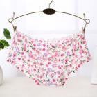 Summer Soft Seamless Briefs Underwear Women Sexy Underpants Lingerie Briefs Hipster Underwear Ultra-thin Comfort Panties