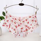 Summer Soft Seamless Briefs Underwear Women Sexy Underpants Lingerie Briefs Hipster Underwear Ultra-thin Comfort Panties