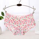 Summer Soft Seamless Briefs Underwear Women Sexy Underpants Lingerie Briefs Hipster Underwear Ultra-thin Comfort Panties